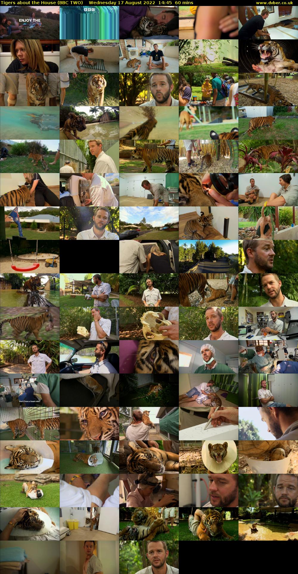 Tigers About the House (BBC TWO) Wednesday 17 August 2022 14:45 - 15:45