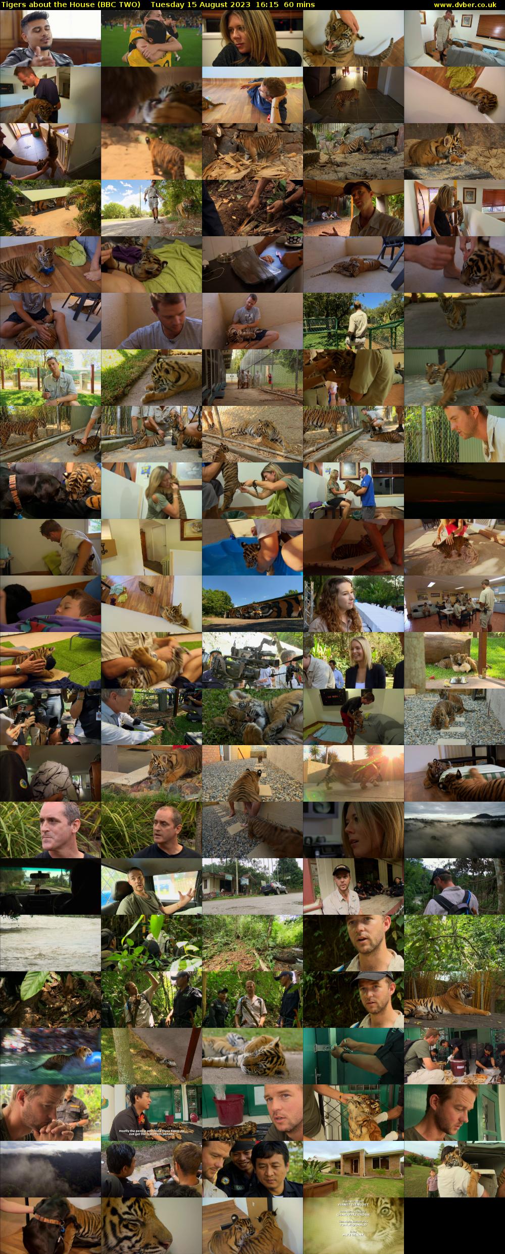 Tigers About the House (BBC TWO) Tuesday 15 August 2023 16:15 - 17:15