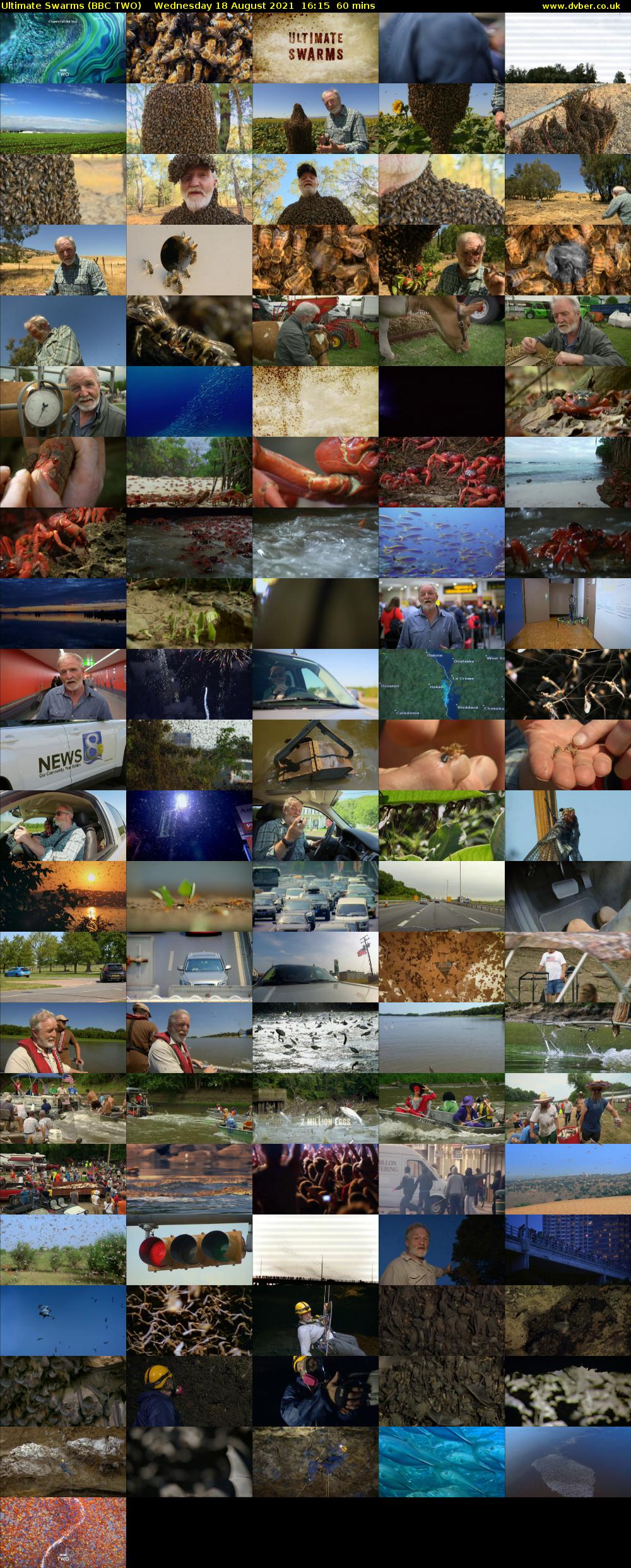 Ultimate Swarms (BBC TWO) Wednesday 18 August 2021 16:15 - 17:15