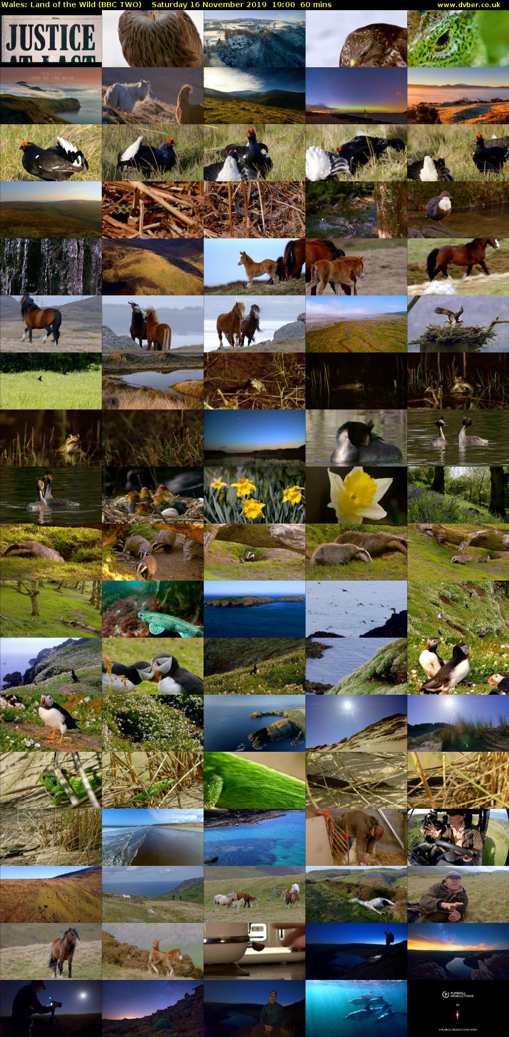 Wales: Land of the Wild (BBC TWO) Saturday 16 November 2019 19:00 - 20:00