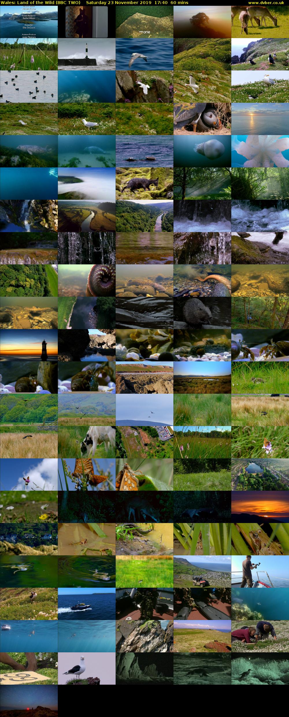 Wales: Land of the Wild (BBC TWO) Saturday 23 November 2019 17:40 - 18:40