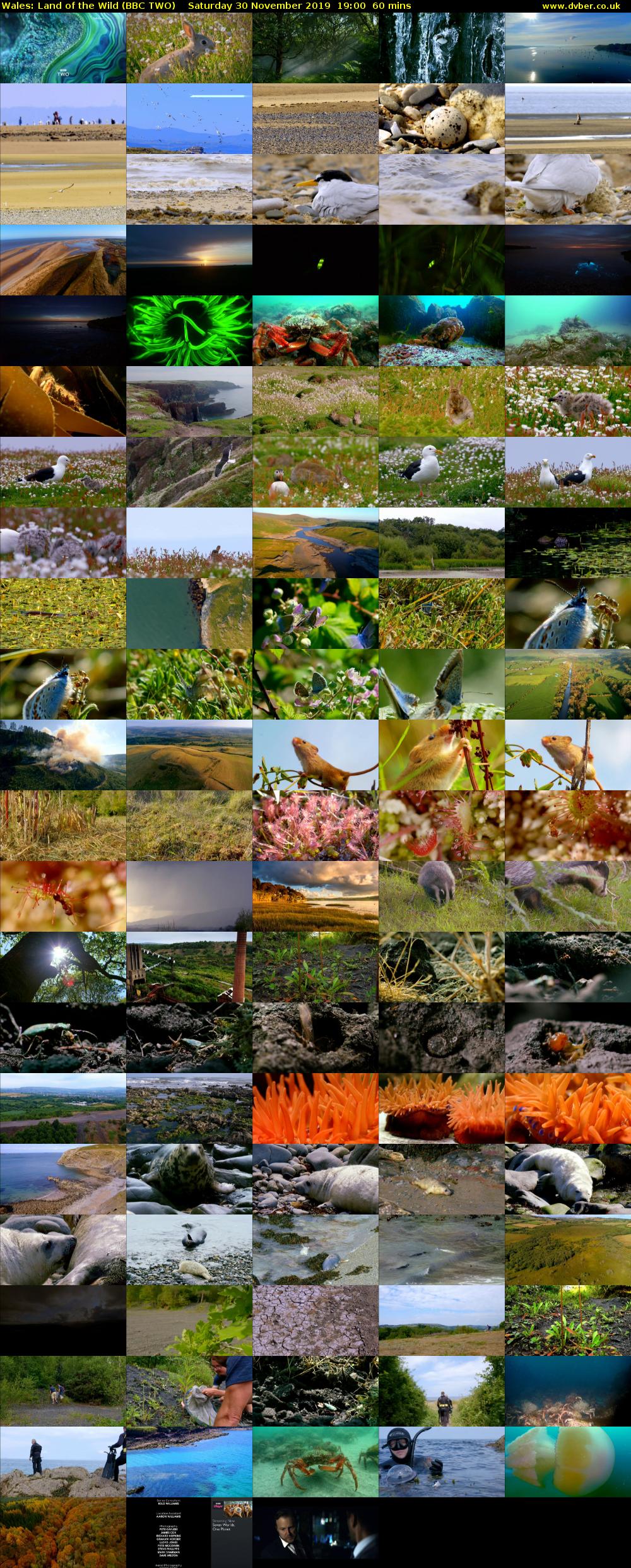 Wales: Land of the Wild (BBC TWO) Saturday 30 November 2019 19:00 - 20:00
