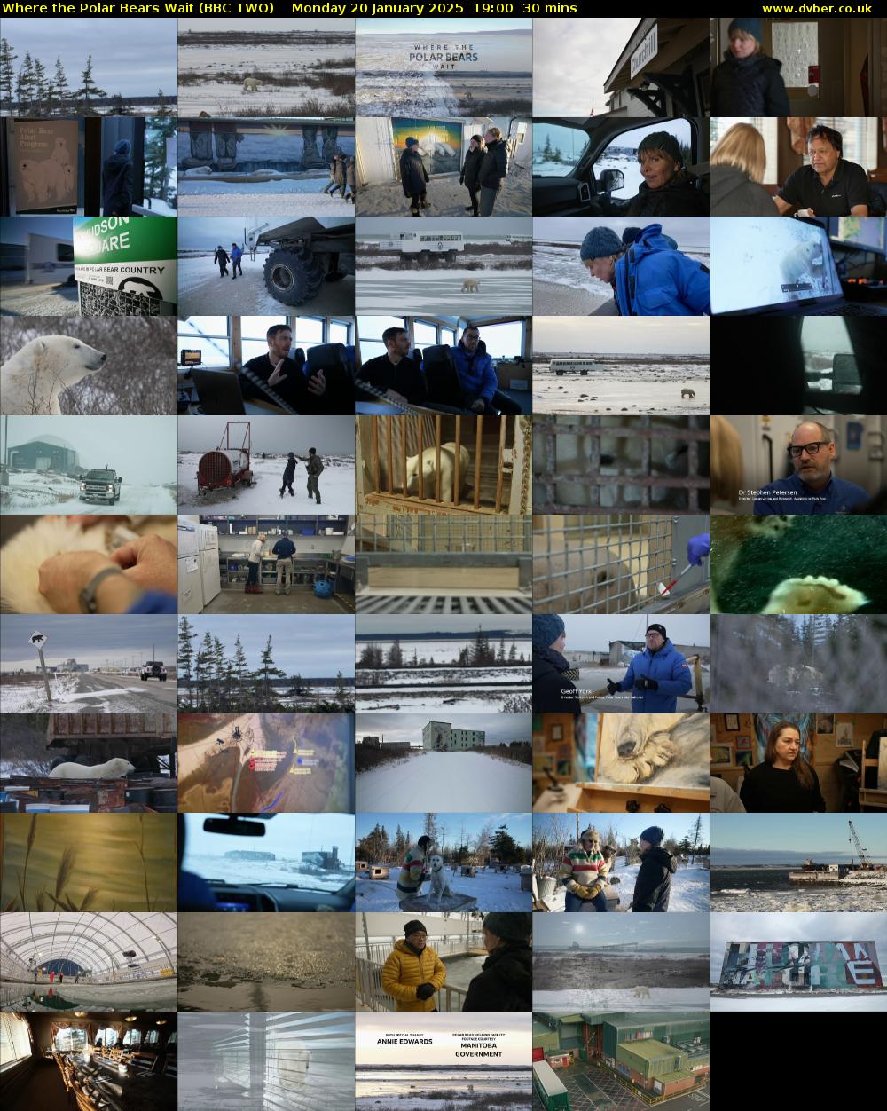 Where the Polar Bears Wait (BBC TWO) Monday 20 January 2025 19:00 - 19:30