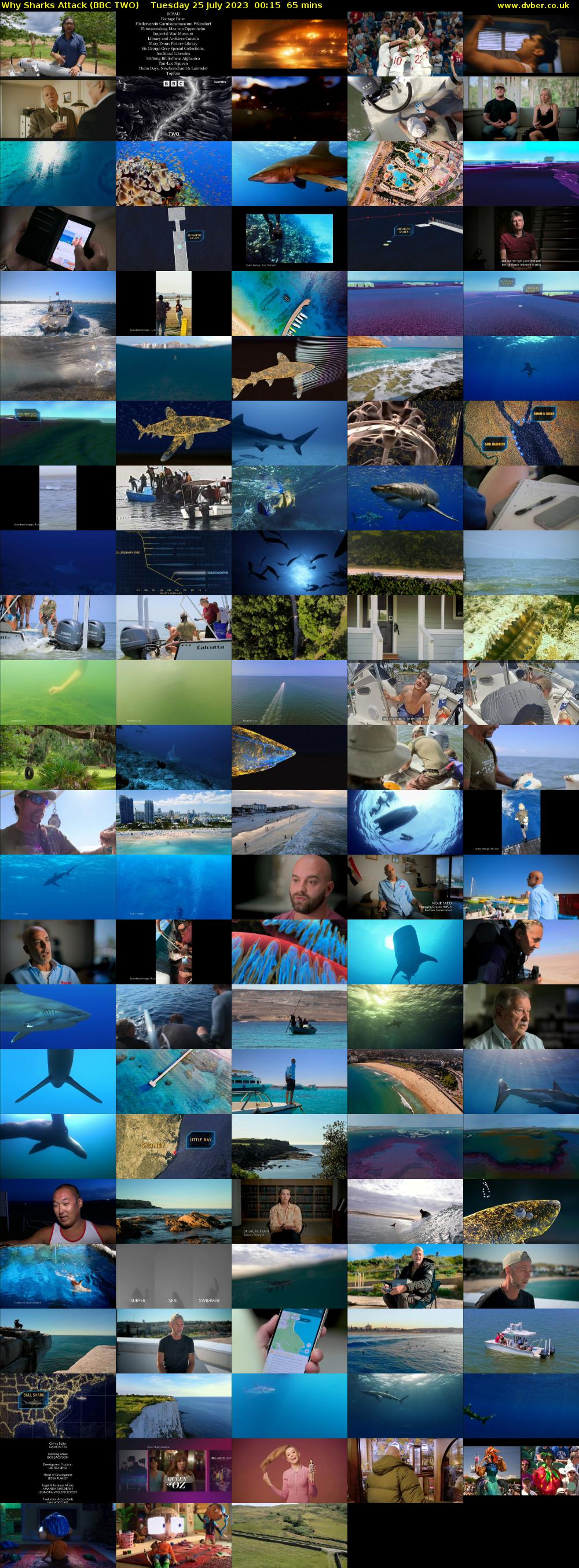 Why Sharks Attack (BBC TWO) Tuesday 25 July 2023 00:15 - 01:20