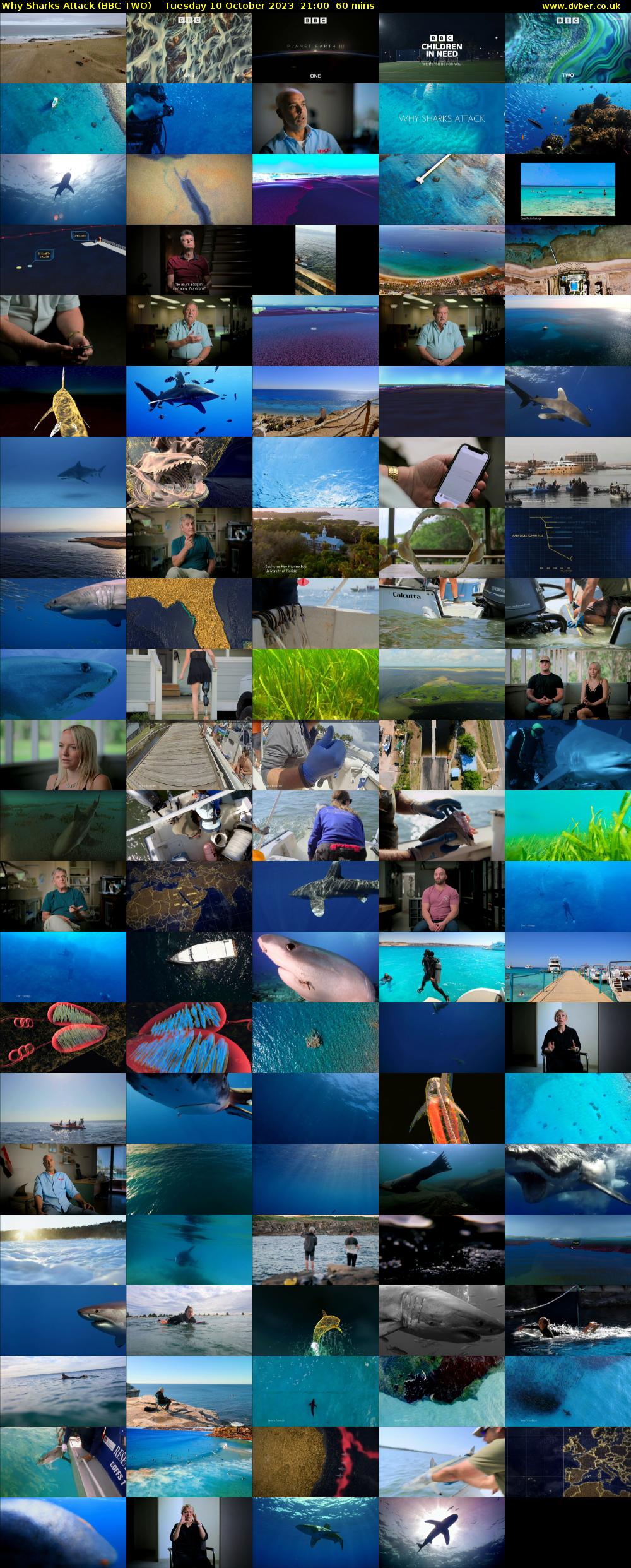 Why Sharks Attack (BBC TWO) Tuesday 10 October 2023 21:00 - 22:00