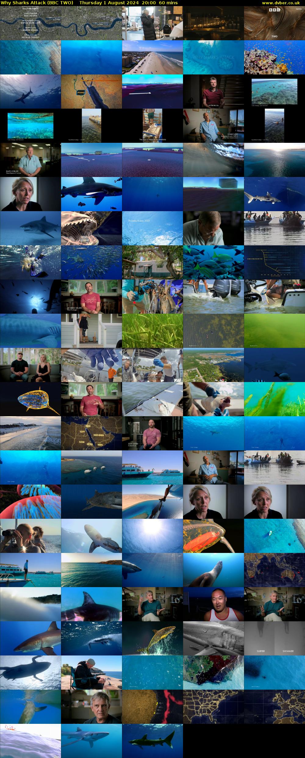 Why Sharks Attack (BBC TWO) Thursday 1 August 2024 20:00 - 21:00