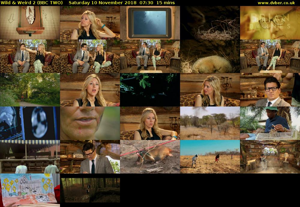 Wild & Weird 2 (BBC TWO) Saturday 10 November 2018 07:30 - 07:45