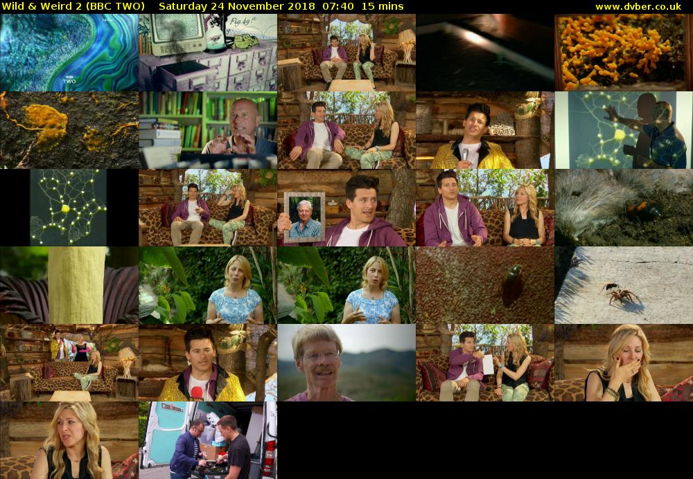 Wild & Weird 2 (BBC TWO) Saturday 24 November 2018 07:40 - 07:55