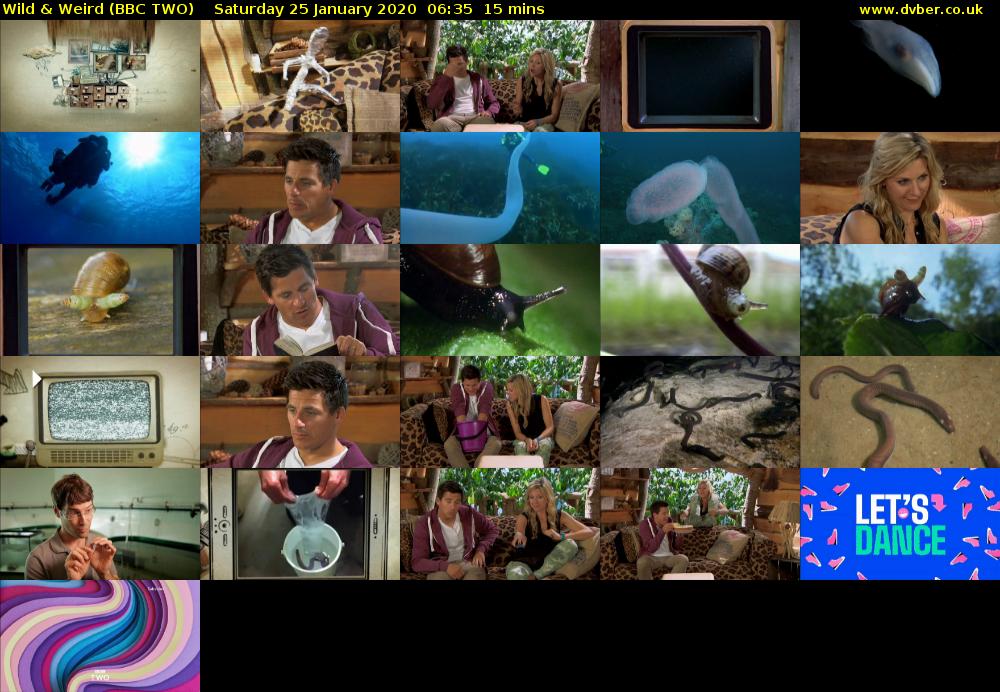 Wild & Weird (BBC TWO) Saturday 25 January 2020 06:35 - 06:50
