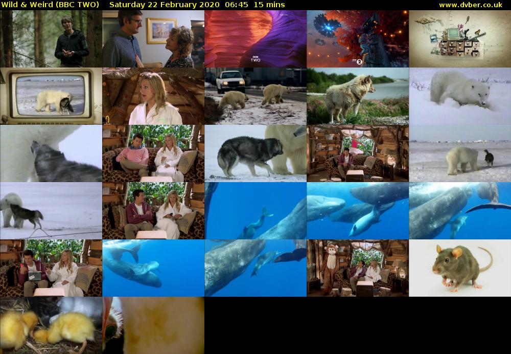 Wild & Weird (BBC TWO) Saturday 22 February 2020 06:45 - 07:00