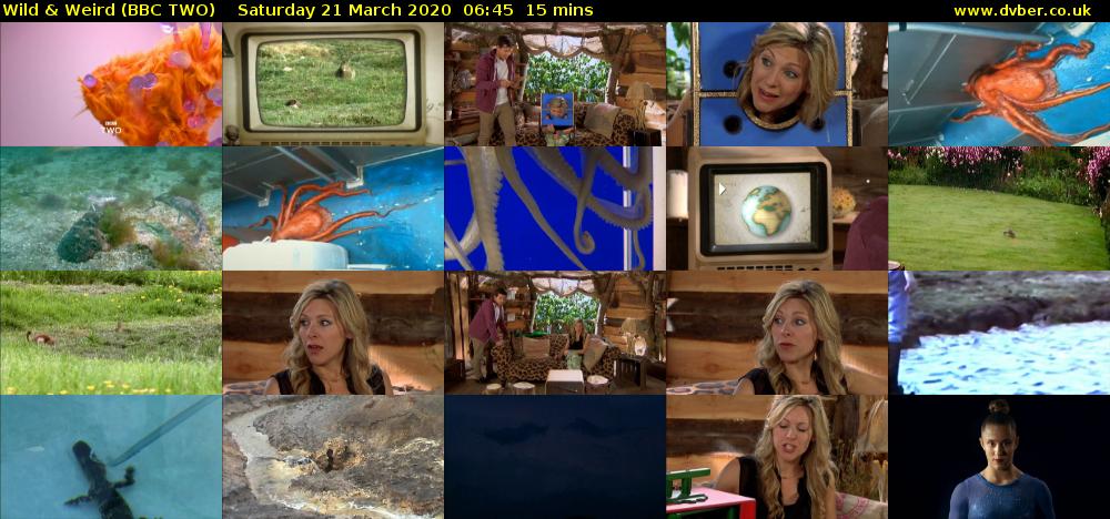 Wild & Weird (BBC TWO) Saturday 21 March 2020 06:45 - 07:00