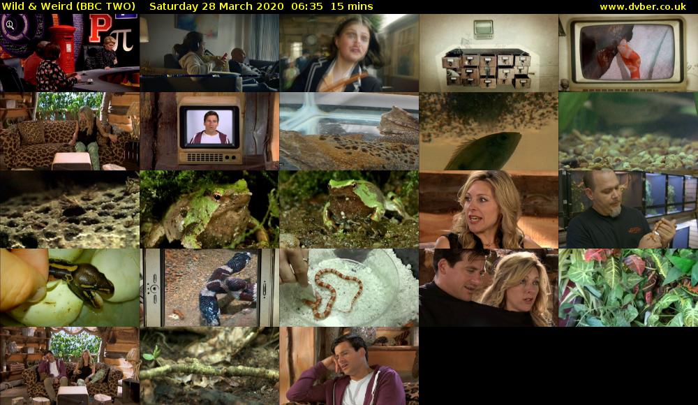 Wild & Weird (BBC TWO) Saturday 28 March 2020 06:35 - 06:50