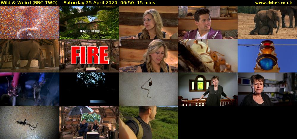 Wild & Weird (BBC TWO) Saturday 25 April 2020 06:50 - 07:05