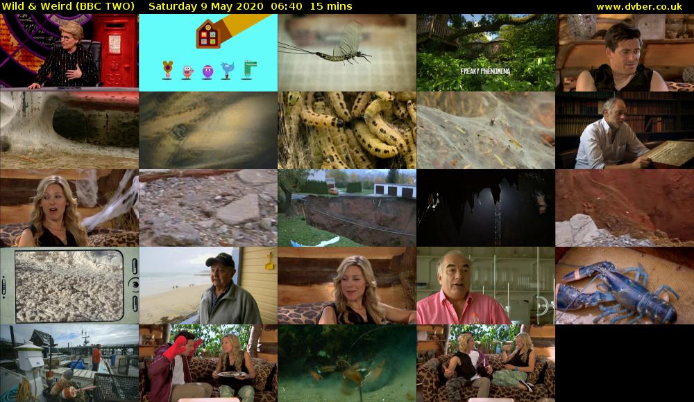 Wild & Weird (BBC TWO) Saturday 9 May 2020 06:40 - 06:55