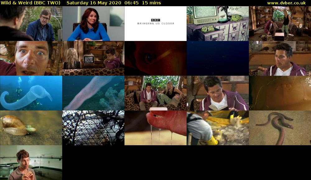 Wild & Weird (BBC TWO) Saturday 16 May 2020 06:45 - 07:00