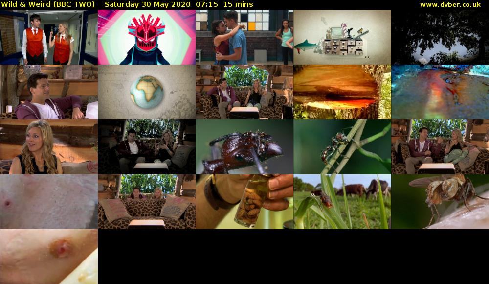 Wild & Weird (BBC TWO) Saturday 30 May 2020 07:15 - 07:30