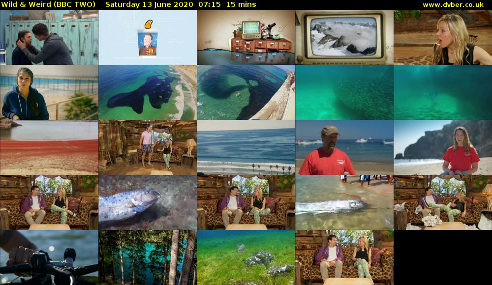 Wild & Weird (BBC TWO) Saturday 13 June 2020 07:15 - 07:30