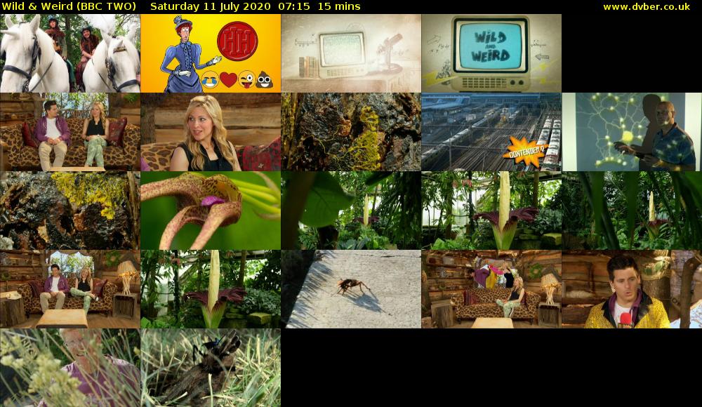 Wild & Weird (BBC TWO) Saturday 11 July 2020 07:15 - 07:30