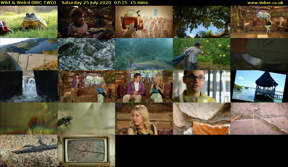 Wild & Weird (BBC TWO) Saturday 25 July 2020 07:15 - 07:30