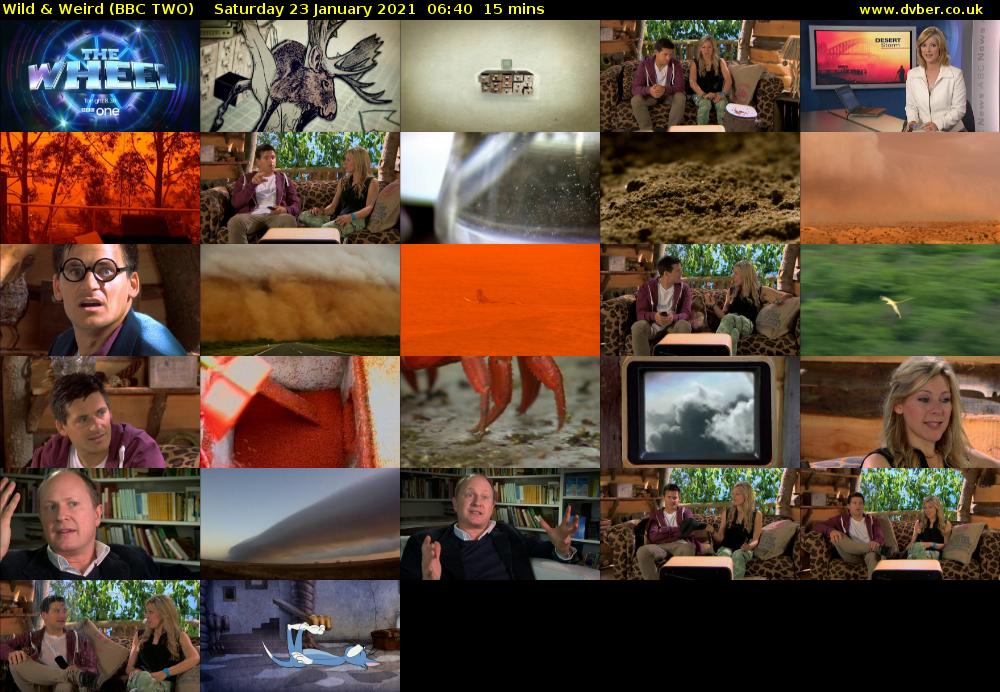 Wild & Weird (BBC TWO) Saturday 23 January 2021 06:40 - 06:55