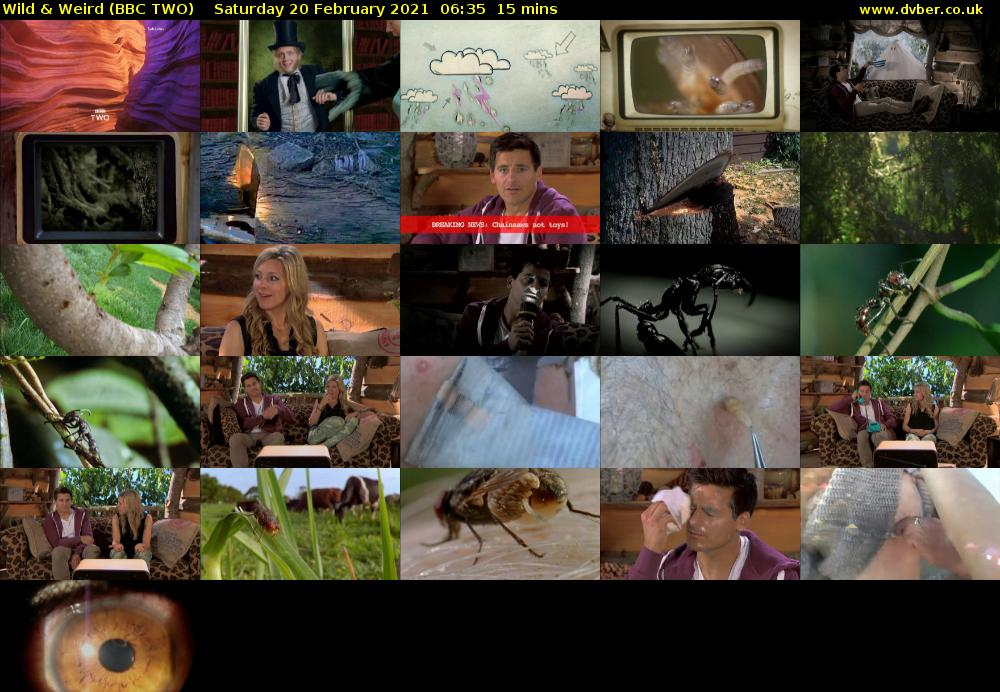 Wild & Weird (BBC TWO) Saturday 20 February 2021 06:35 - 06:50