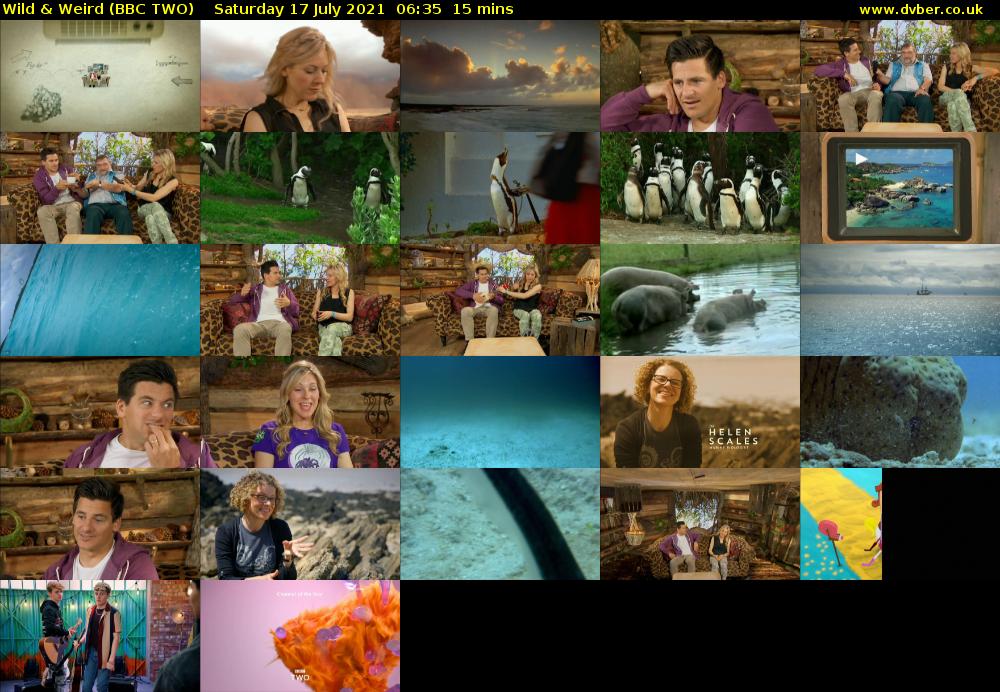 Wild & Weird (BBC TWO) Saturday 17 July 2021 06:35 - 06:50