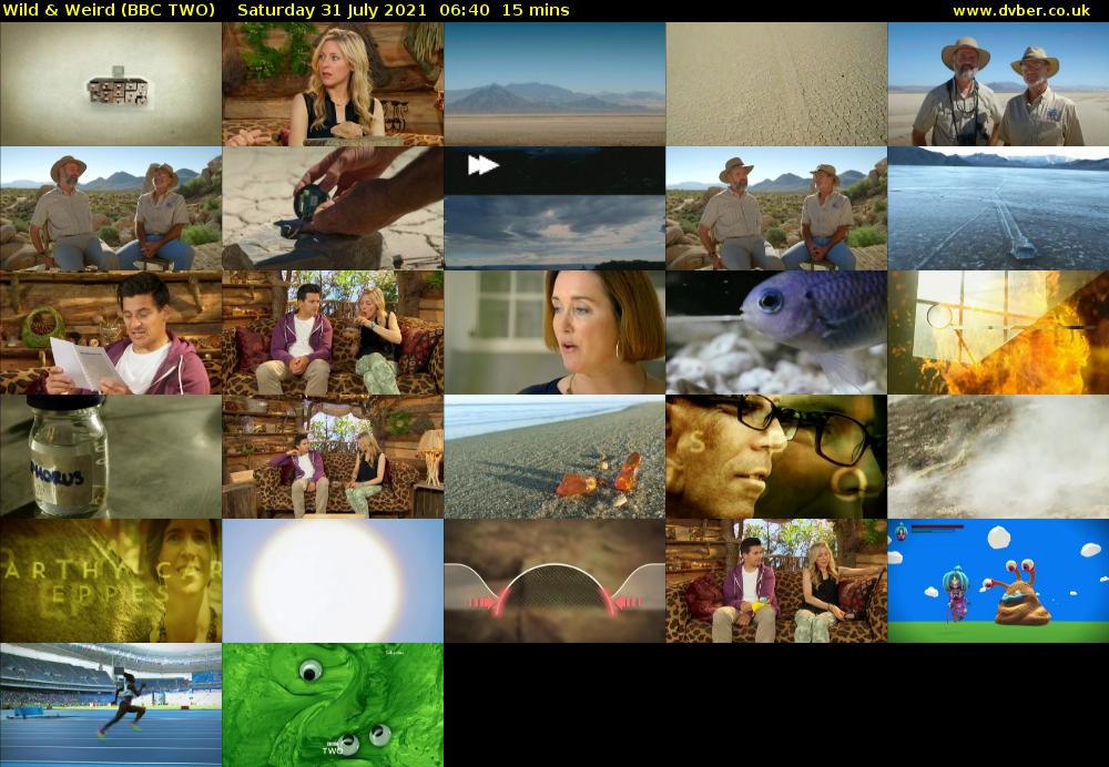 Wild & Weird (BBC TWO) Saturday 31 July 2021 06:40 - 06:55