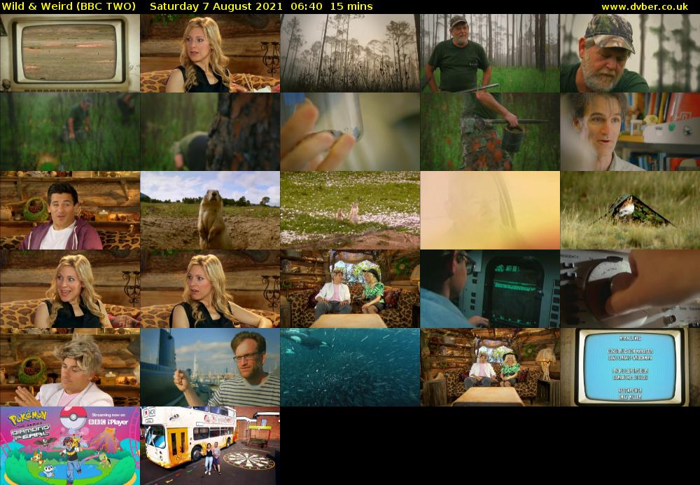 Wild & Weird (BBC TWO) Saturday 7 August 2021 06:40 - 06:55