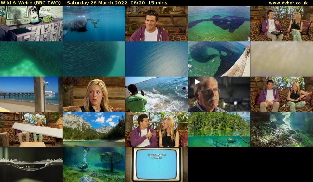 Wild & Weird (BBC TWO) Saturday 26 March 2022 06:20 - 06:35