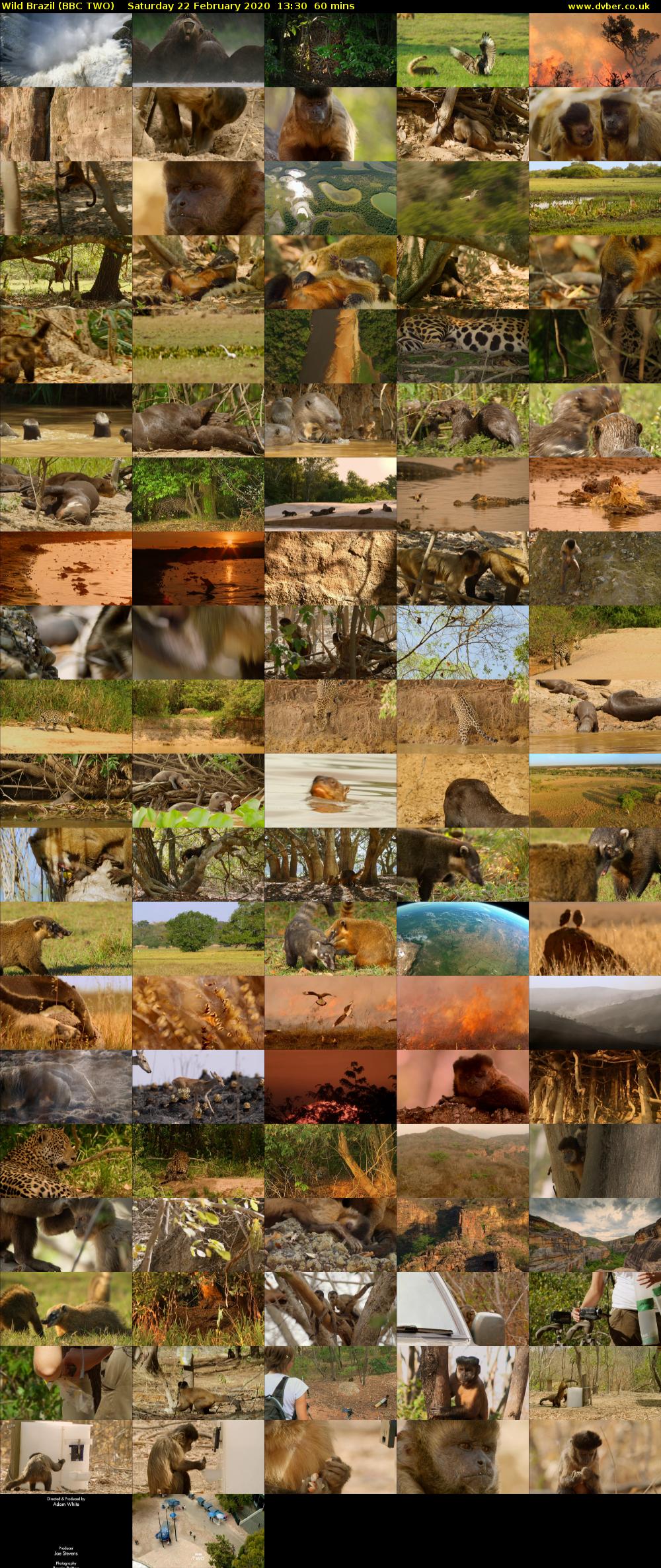 Wild Brazil (BBC TWO) Saturday 22 February 2020 13:30 - 14:30