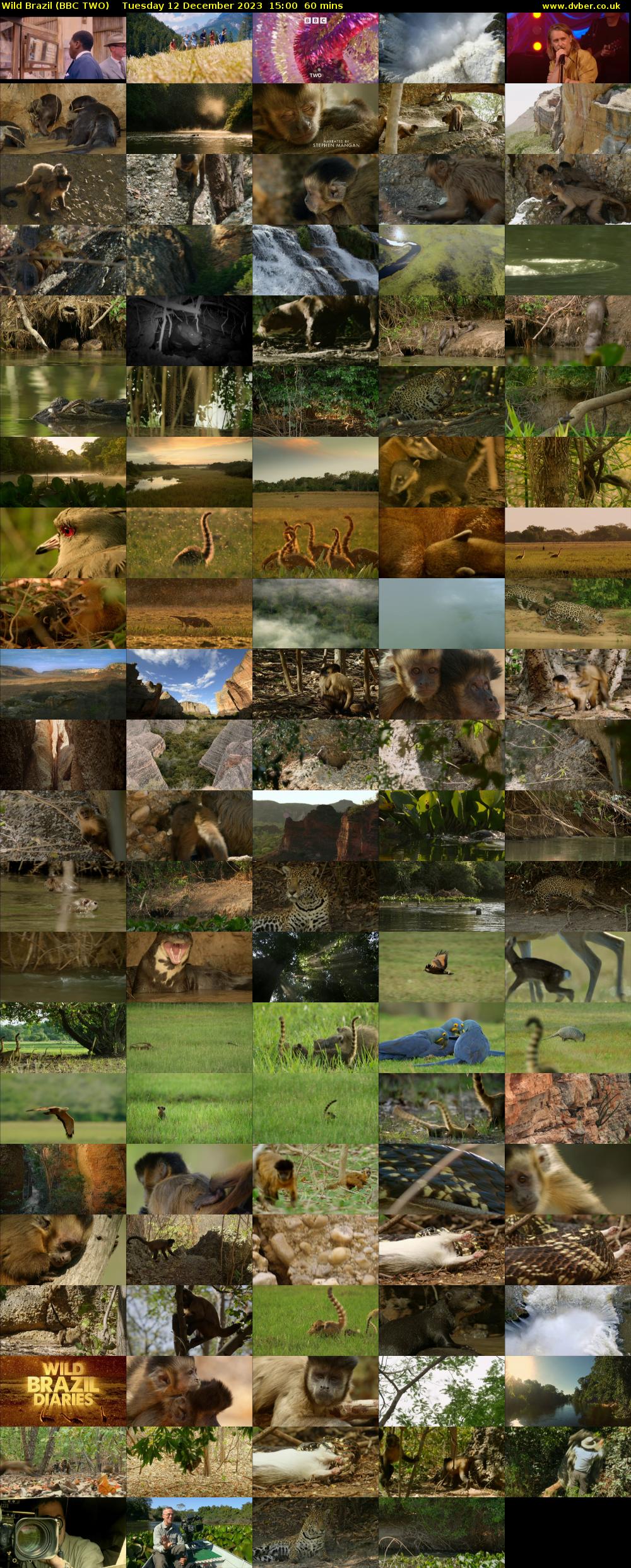 Wild Brazil (BBC TWO) Tuesday 12 December 2023 15:00 - 16:00