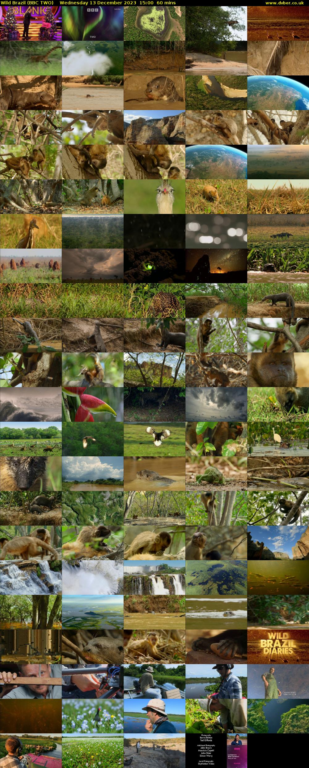 Wild Brazil (BBC TWO) Wednesday 13 December 2023 15:00 - 16:00