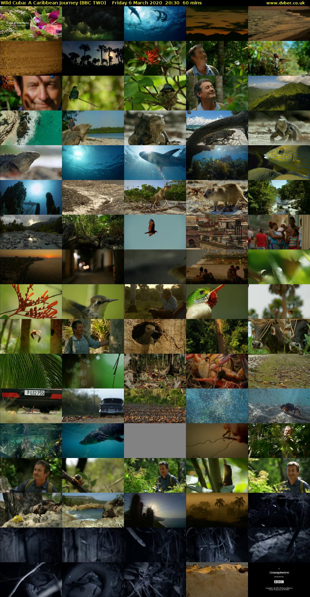 Wild Cuba: A Caribbean Journey (BBC TWO) Friday 6 March 2020 20:30 - 21:30