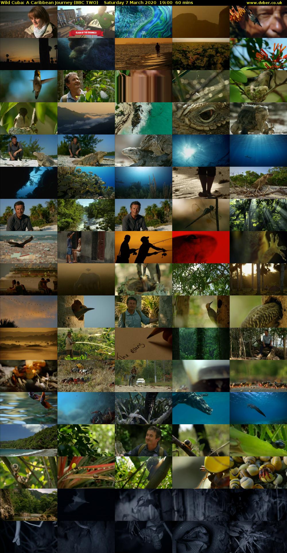 Wild Cuba: A Caribbean Journey (BBC TWO) Saturday 7 March 2020 19:00 - 20:00