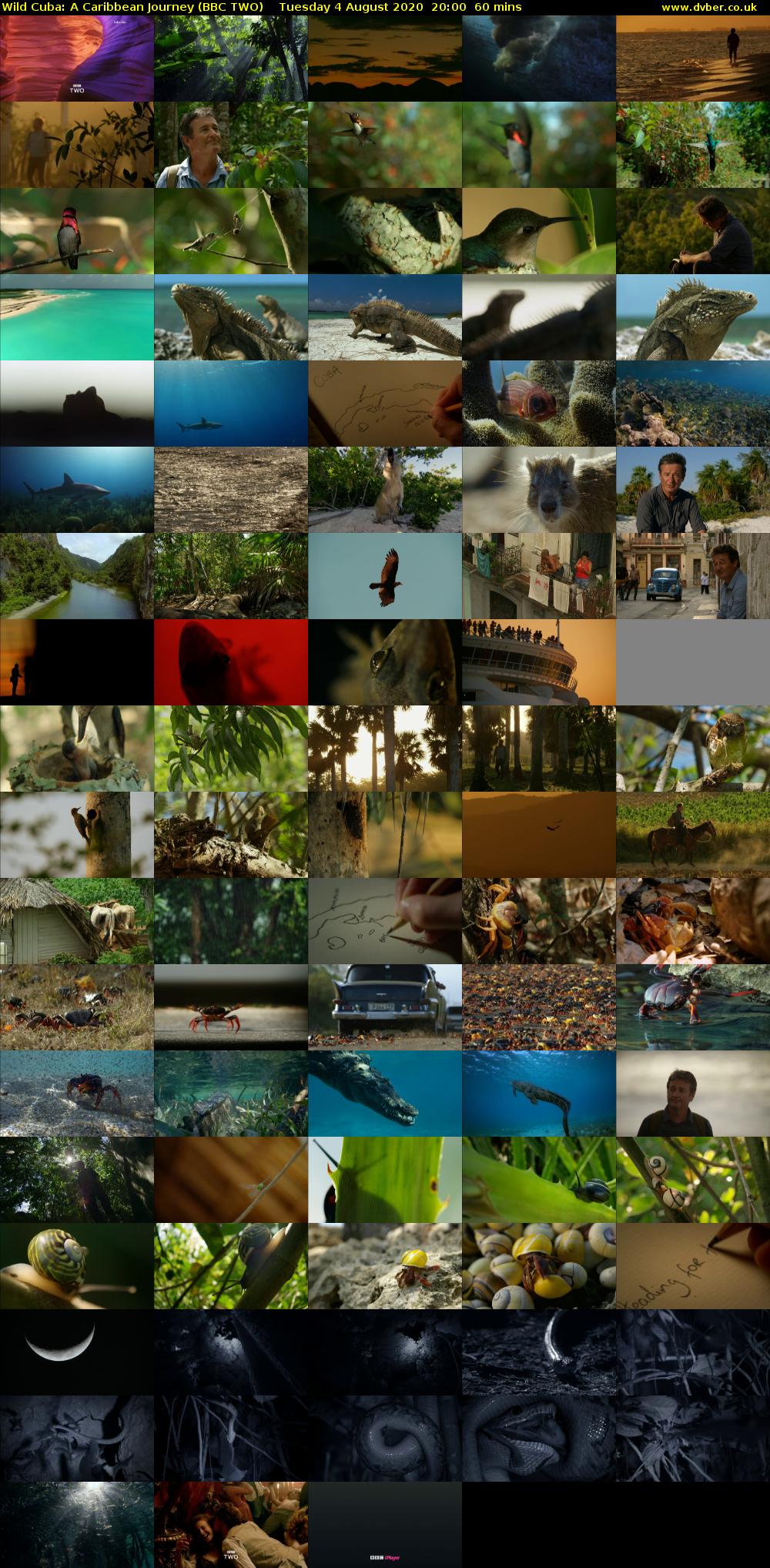 Wild Cuba: A Caribbean Journey (BBC TWO) Tuesday 4 August 2020 20:00 - 21:00
