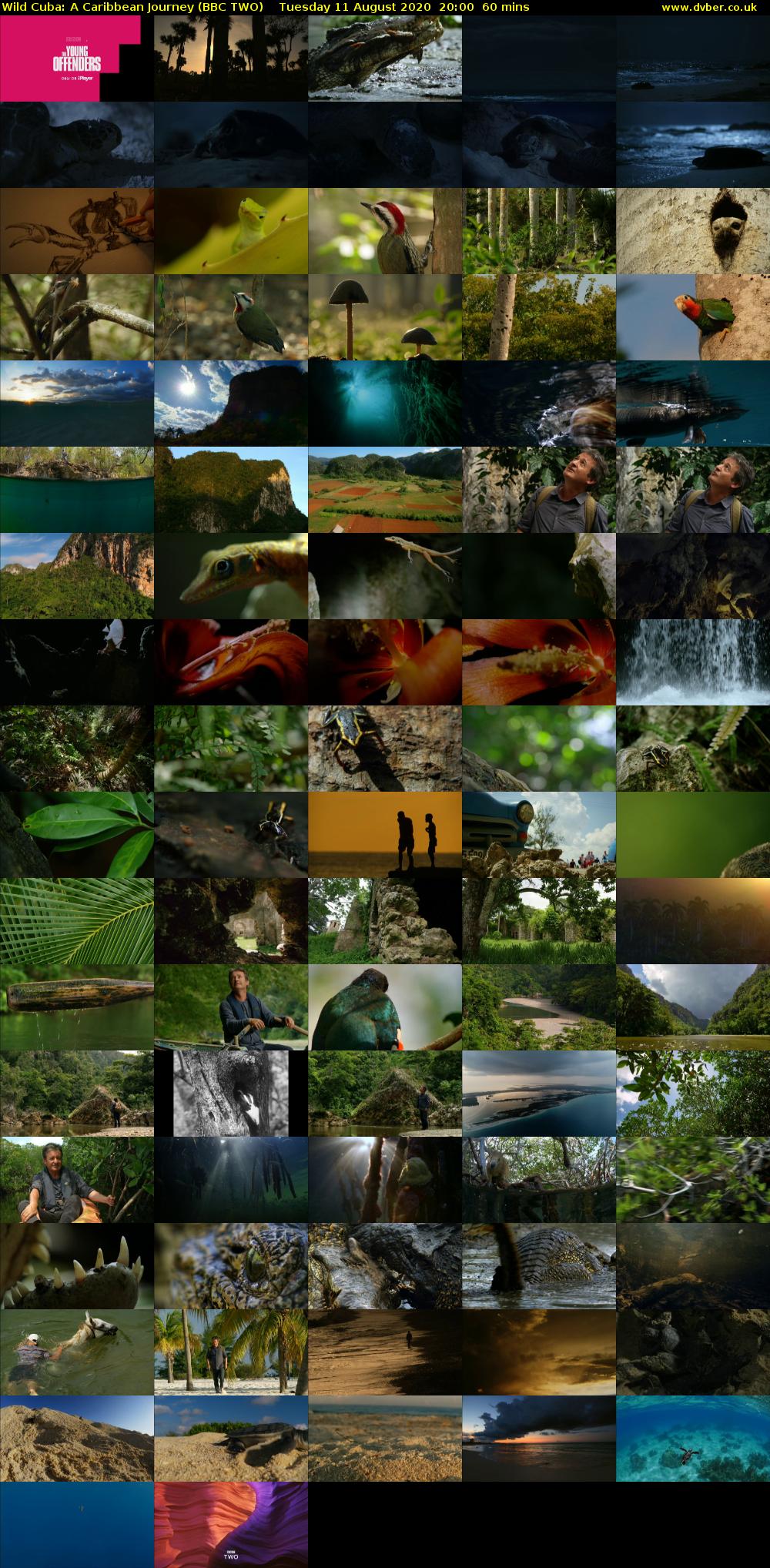 Wild Cuba: A Caribbean Journey (BBC TWO) Tuesday 11 August 2020 20:00 - 21:00