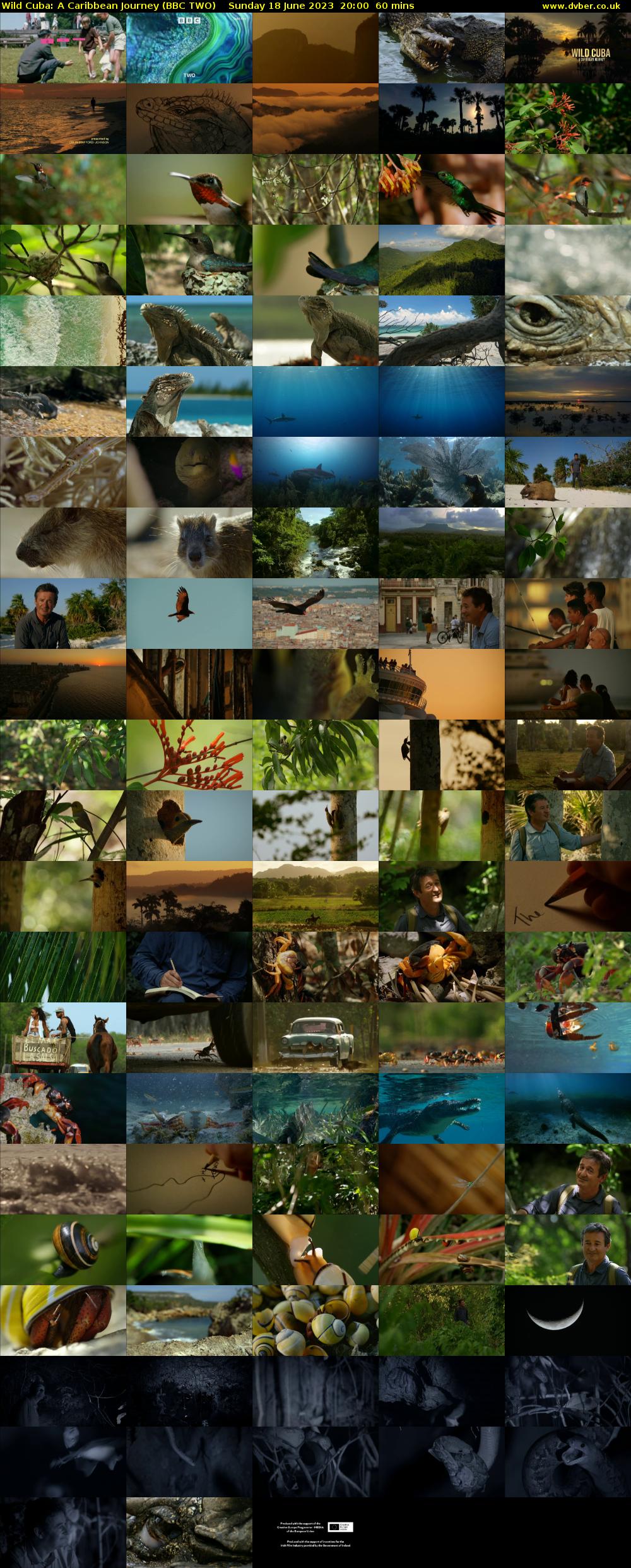 Wild Cuba: A Caribbean Journey (BBC TWO) Sunday 18 June 2023 20:00 - 21:00