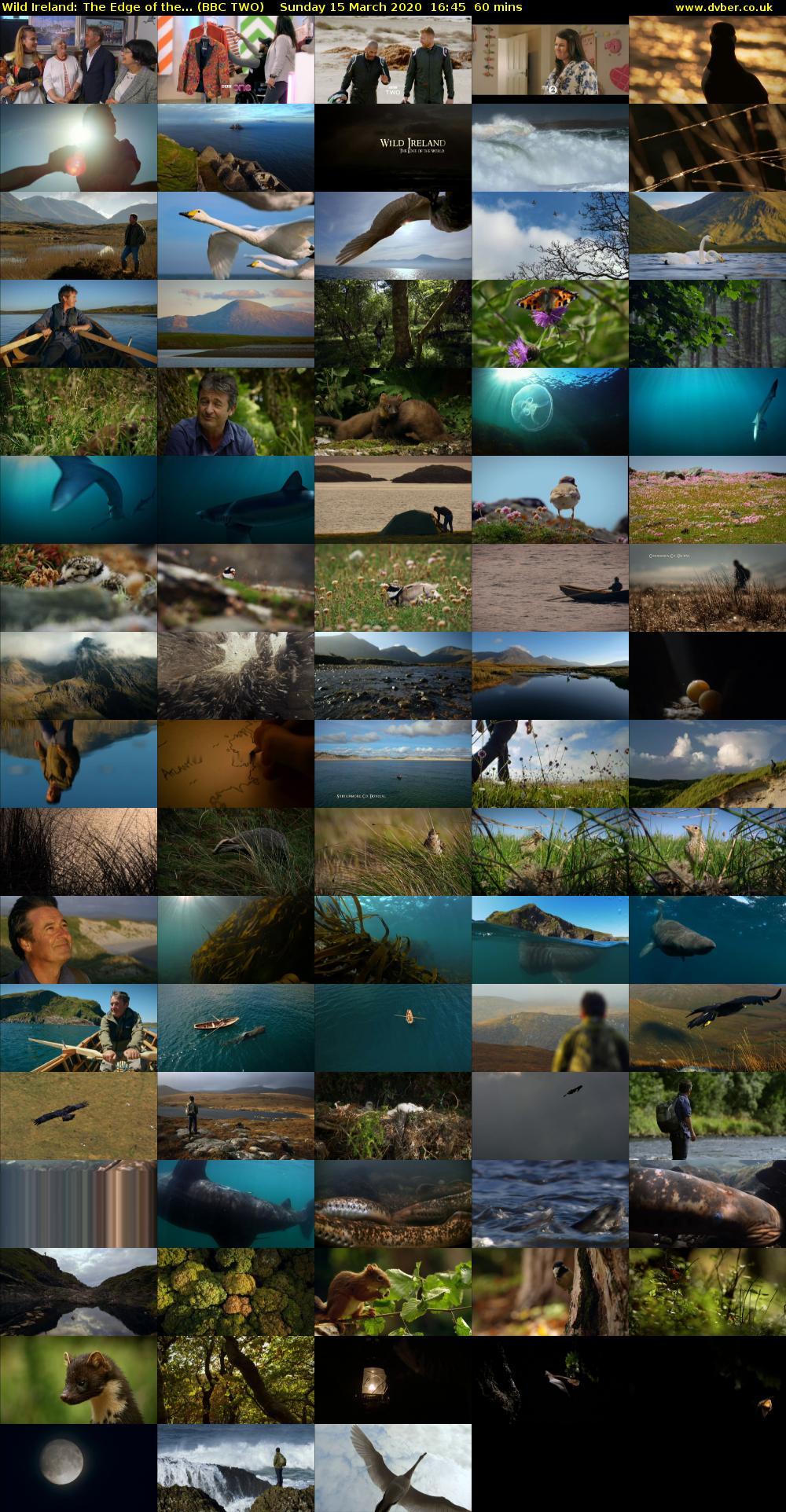 Wild Ireland: The Edge of the... (BBC TWO) Sunday 15 March 2020 16:45 - 17:45