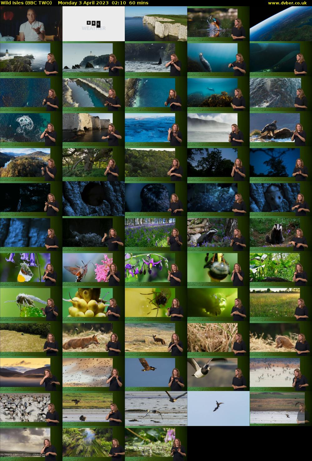 Wild Isles (BBC TWO) Monday 3 April 2023 02:10 - 03:10