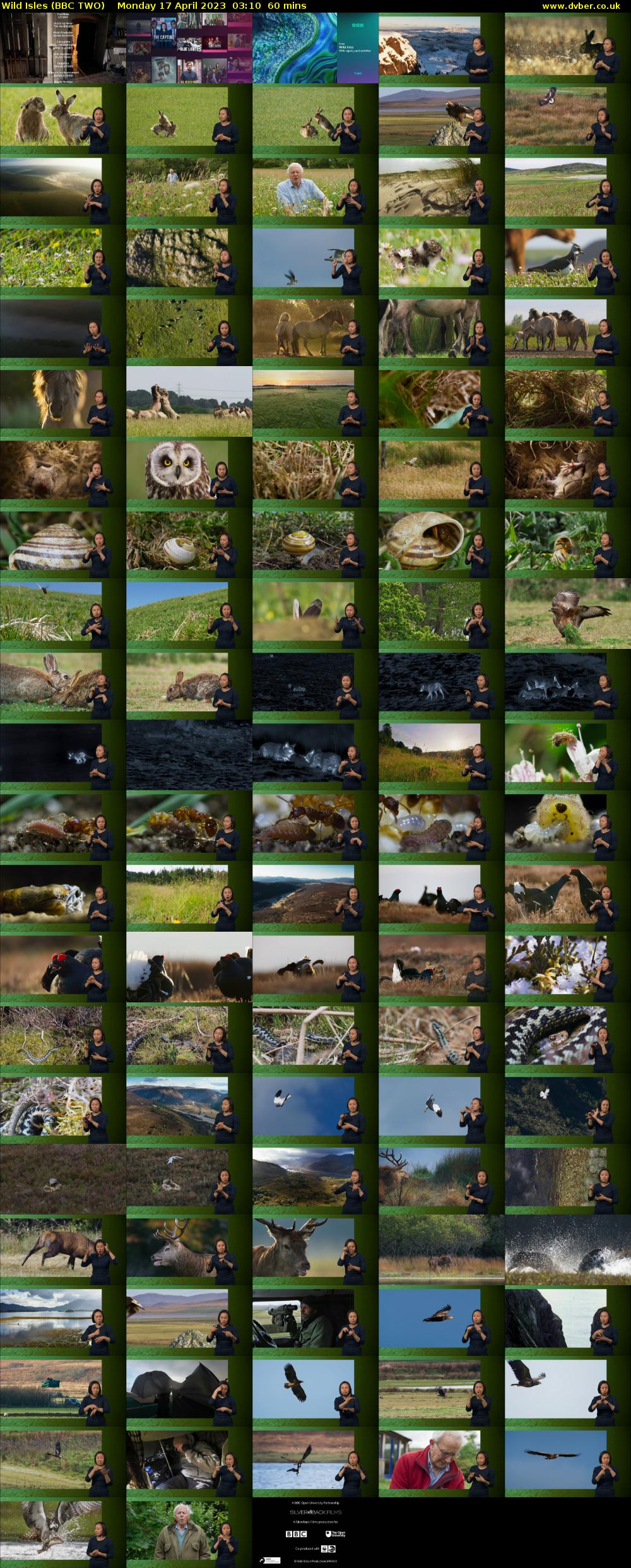 Wild Isles (BBC TWO) Monday 17 April 2023 03:10 - 04:10