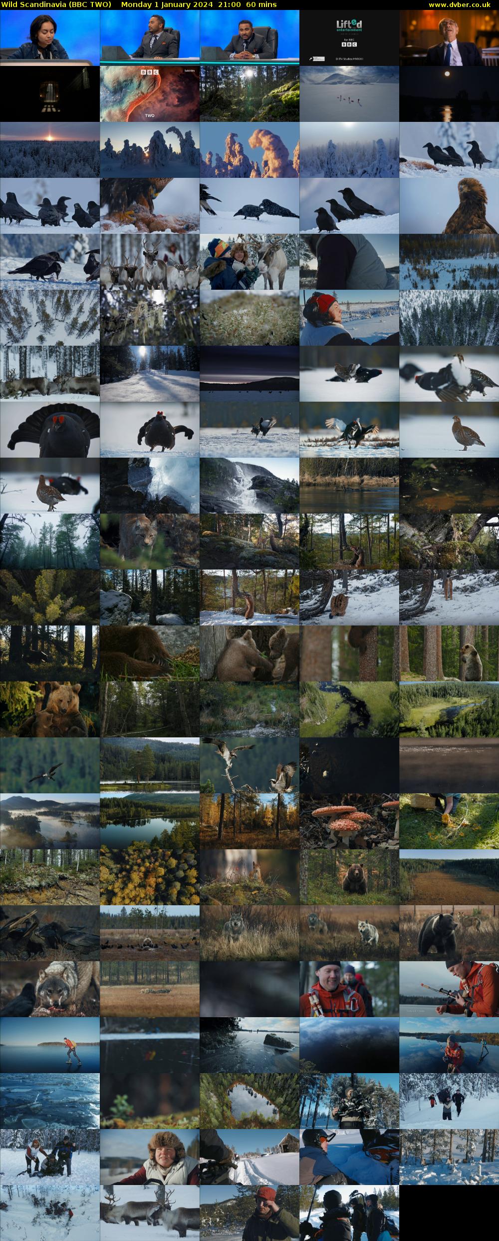 Wild Scandinavia (BBC TWO) Monday 1 January 2024 21:00 - 22:00