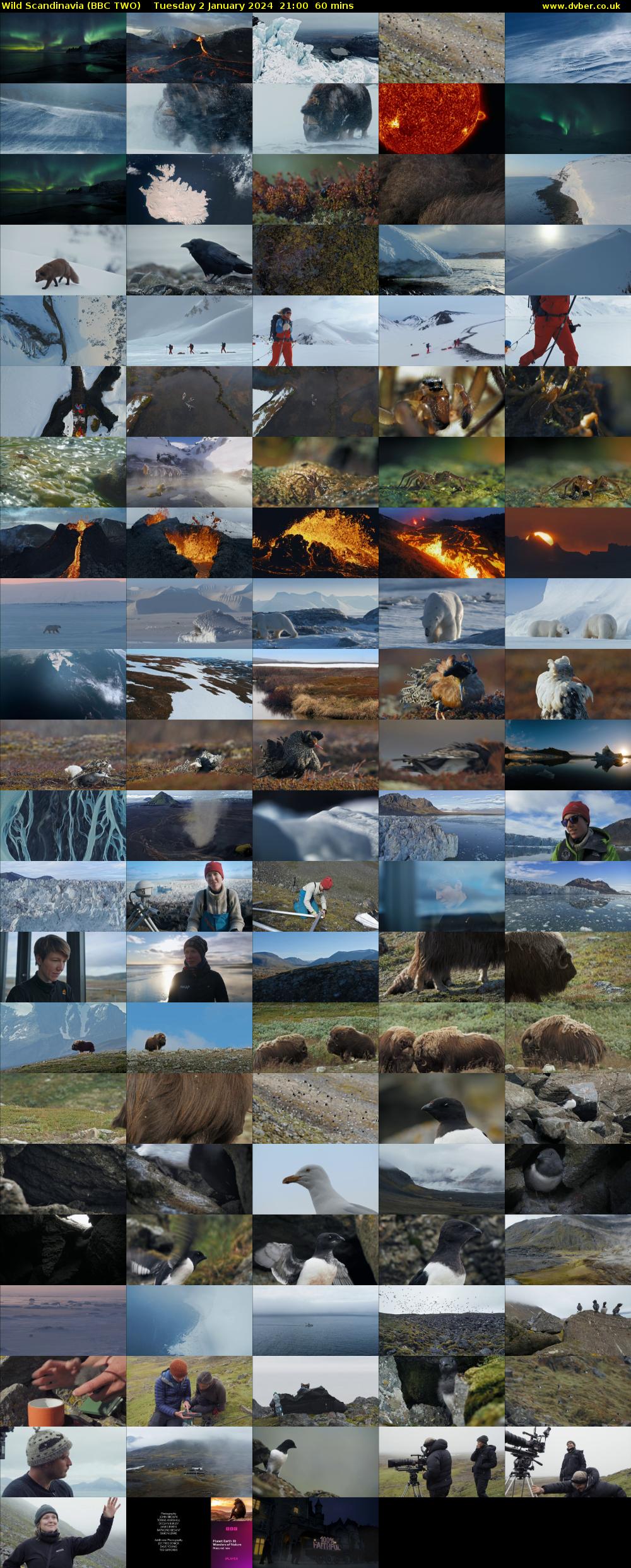 Wild Scandinavia (BBC TWO) Tuesday 2 January 2024 21:00 - 22:00