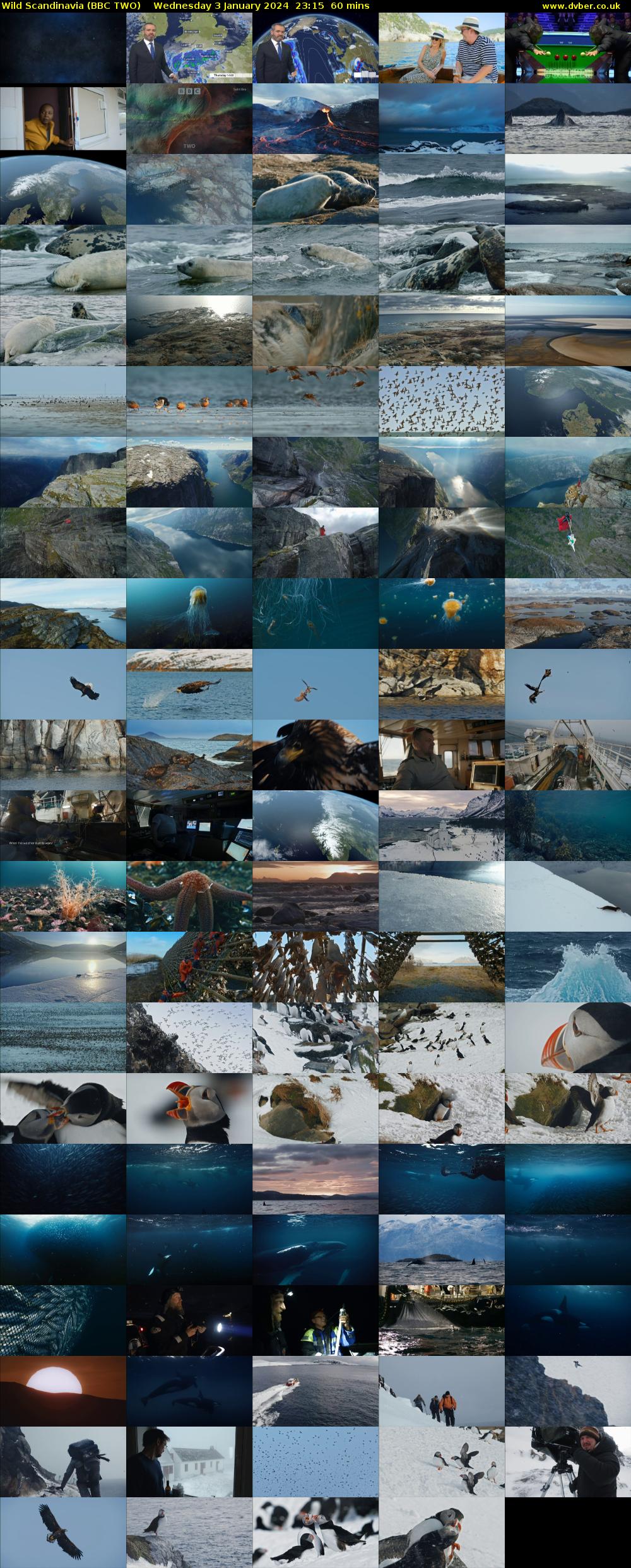 Wild Scandinavia (BBC TWO) Wednesday 3 January 2024 23:15 - 00:15
