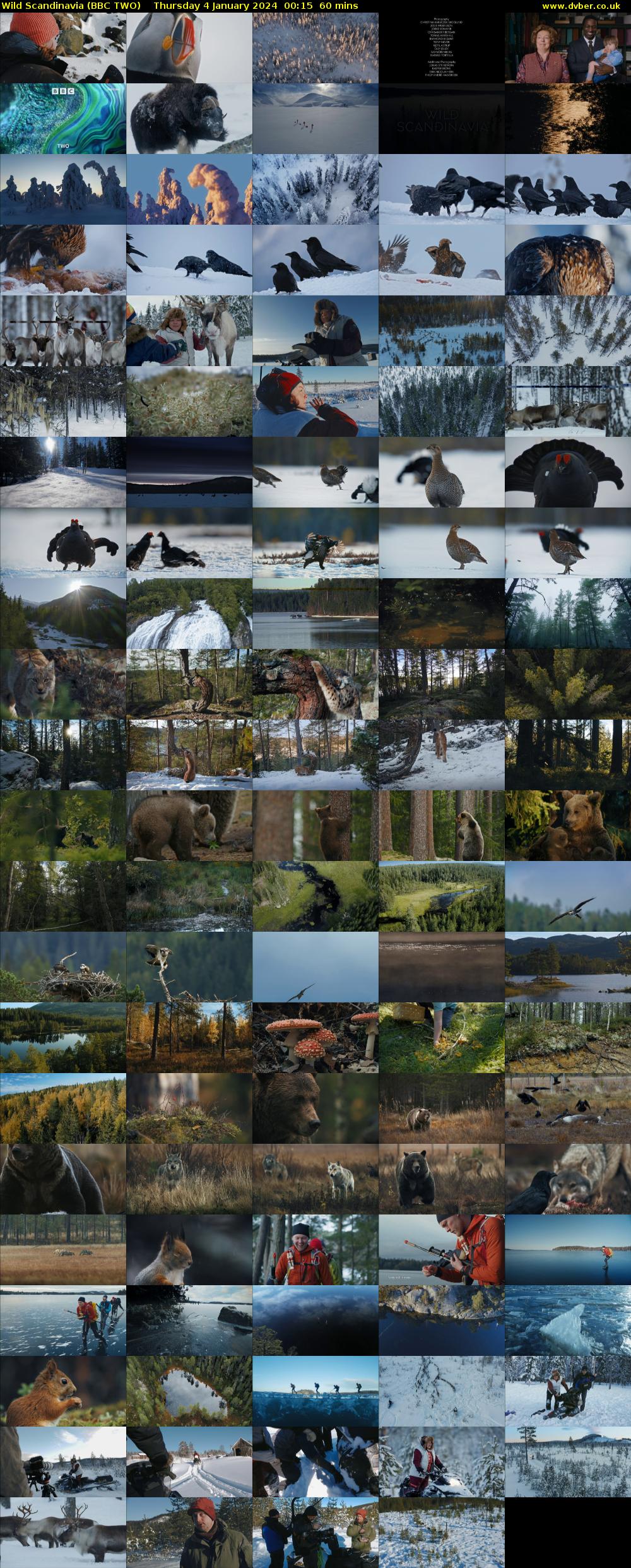 Wild Scandinavia (BBC TWO) Thursday 4 January 2024 00:15 - 01:15