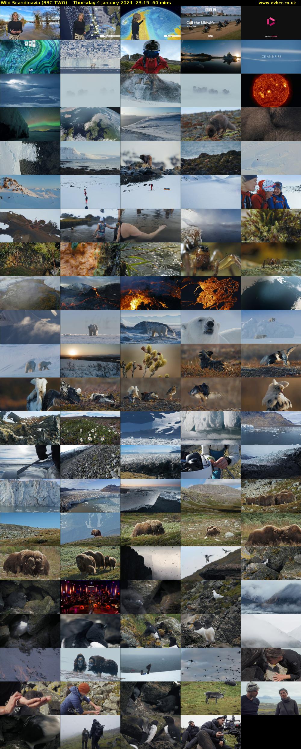 Wild Scandinavia (BBC TWO) Thursday 4 January 2024 23:15 - 00:15