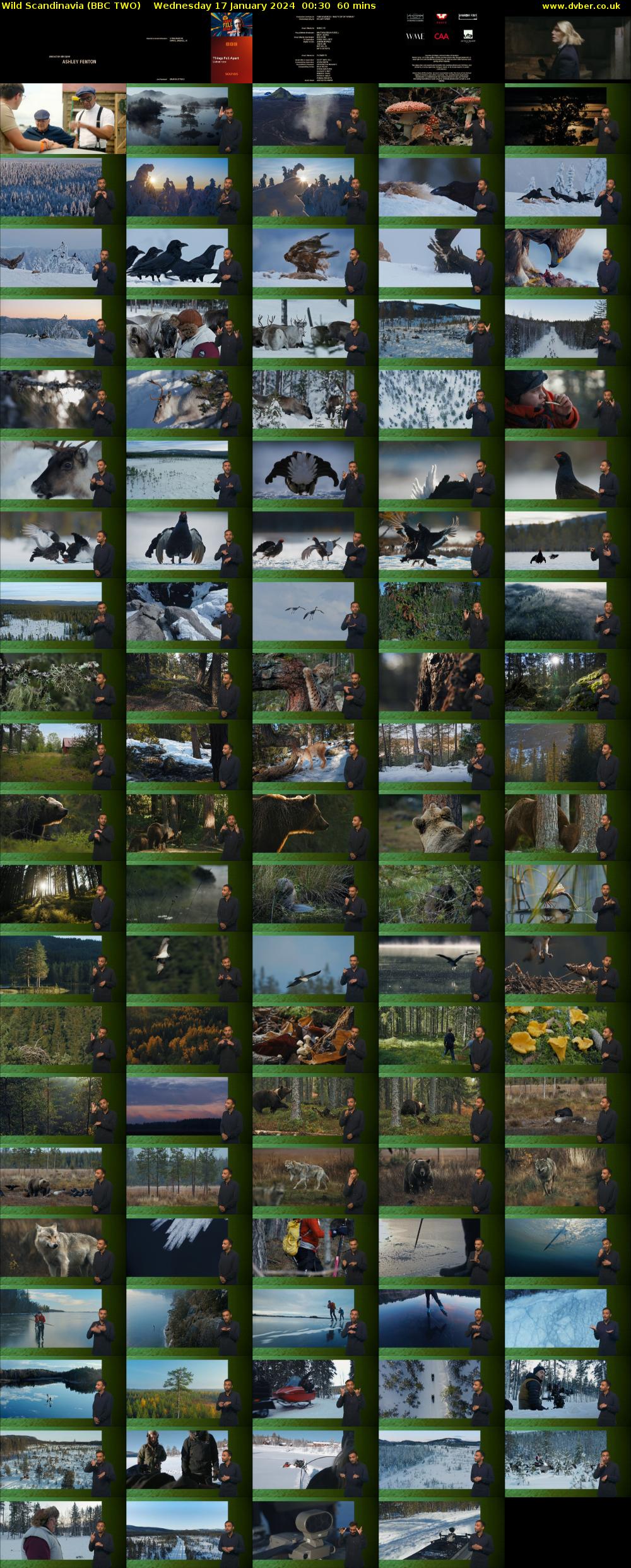 Wild Scandinavia (BBC TWO) Wednesday 17 January 2024 00:30 - 01:30
