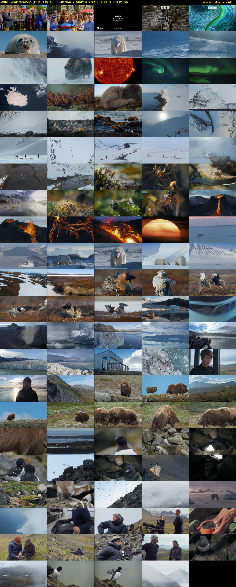 Wild Scandinavia (BBC TWO) Sunday 2 March 2025 20:00 - 21:00