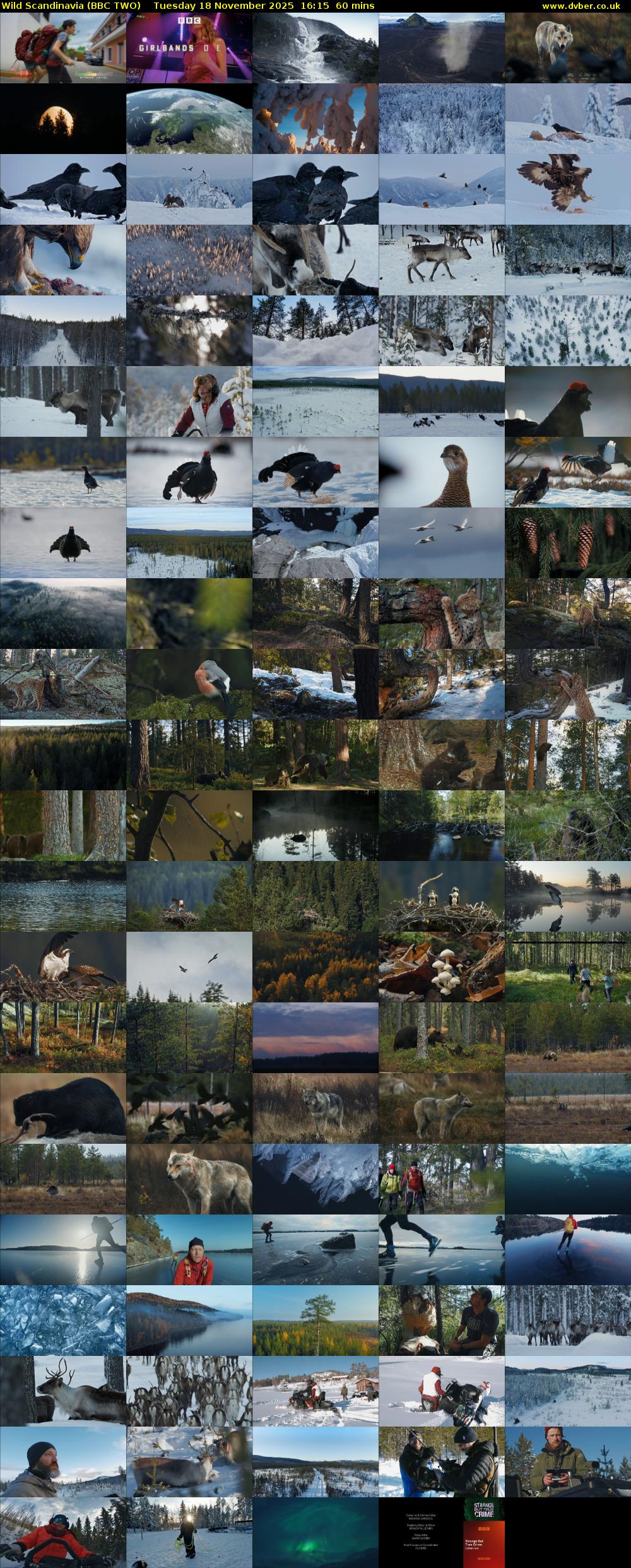 Wild Scandinavia (BBC TWO) Tuesday 18 November 2025 16:15 - 17:15