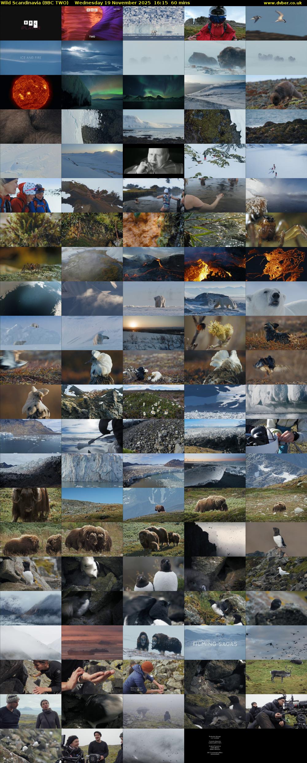 Wild Scandinavia (BBC TWO) Wednesday 19 November 2025 16:15 - 17:15