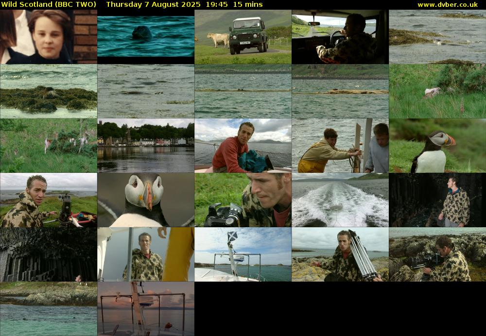 Wild Scotland (BBC TWO) Thursday 7 August 2025 19:45 - 20:00